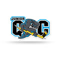 Junior Storm Logo Magnet