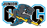 Storm Pro Shop - Home